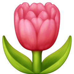 tulip_1f337.png